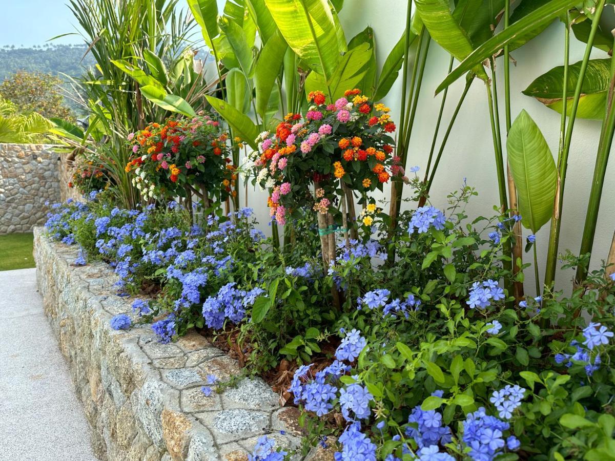 Blossom Villa - Lamai, Koh Samui - Entire Villa Ban Thung  Exterior photo